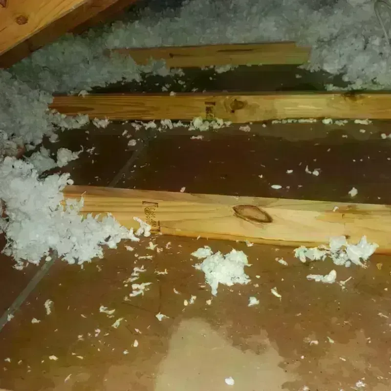 Attic Water Damage in Chambers County, TX