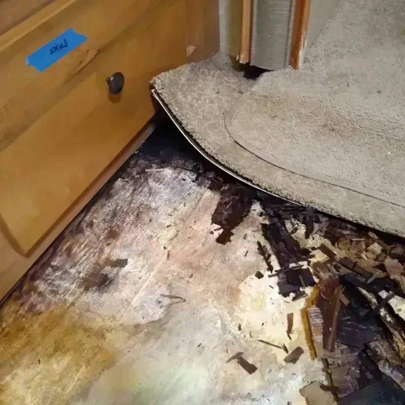 Best Wood Floor Water Damage Service in Chambers County, TX